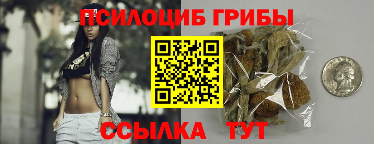 Псилоцибиновые грибы мицелий Ногинск
